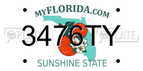 3476TY Florida License Plate