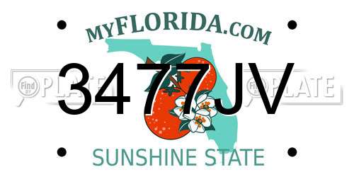 3477JV Florida License Plate