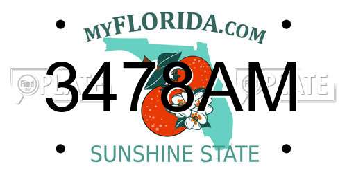 3478AM Florida License Plate