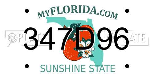 347D96 Florida License Plate