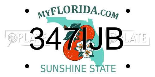 347IJB Florida License Plate