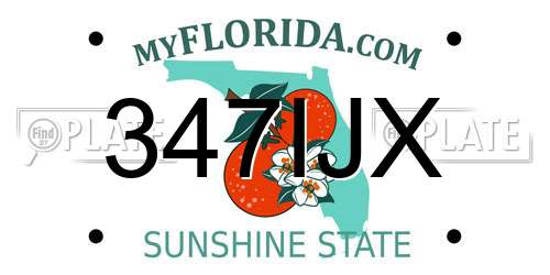 347IJX Florida License Plate