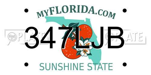 347LJB Florida License Plate