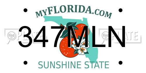 347MLN Florida License Plate