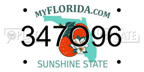 347O96 Florida License Plate