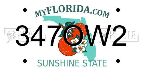347OW2 Florida License Plate