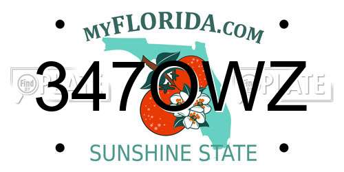 347OWZ Florida License Plate