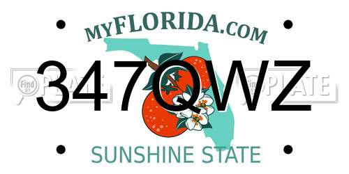 347QWZ Florida License Plate