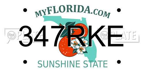 347RKE Florida License Plate