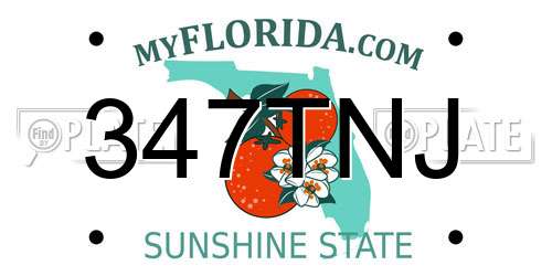 347TNJ Florida License Plate