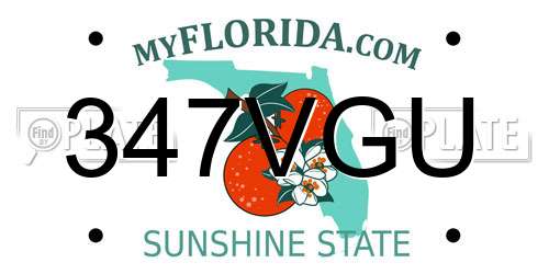 347VGU Florida License Plate