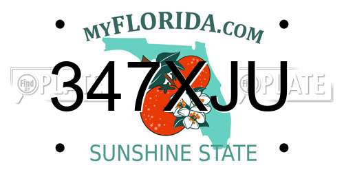 347XJU Florida License Plate