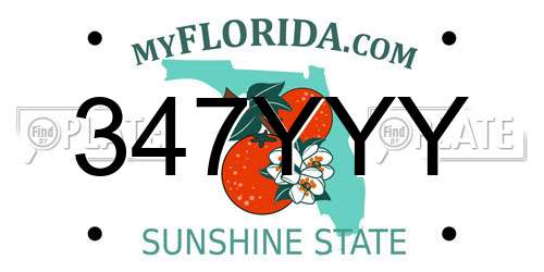 347YYY Florida License Plate