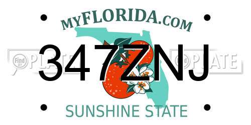 347ZNJ Florida License Plate
