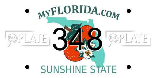 348 Florida License Plate