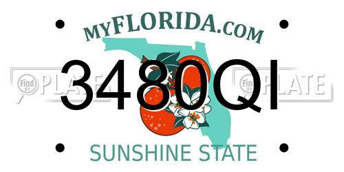 3480QI Florida License Plate