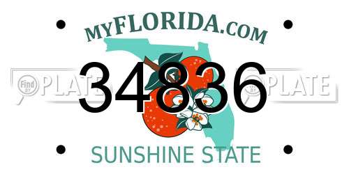 34836 Florida License Plate