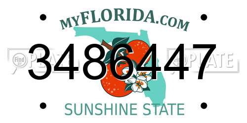 3486447 Florida License Plate
