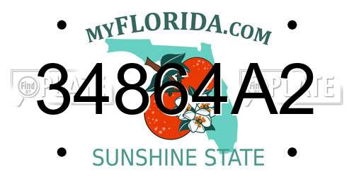 34864A2 Florida License Plate