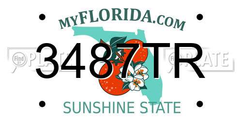 3487TR Florida License Plate