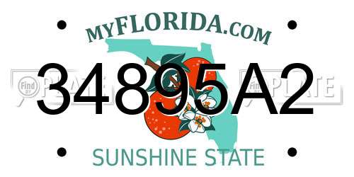 34895A2 Florida License Plate