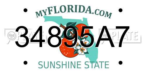 34895A7 Florida License Plate