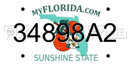 34898A2 Florida License Plate