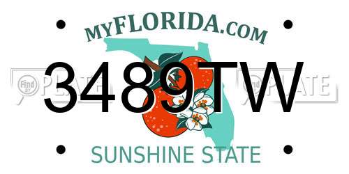3489TW Florida License Plate
