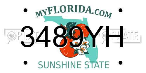 3489YH Florida License Plate