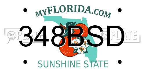 348BSD Florida License Plate