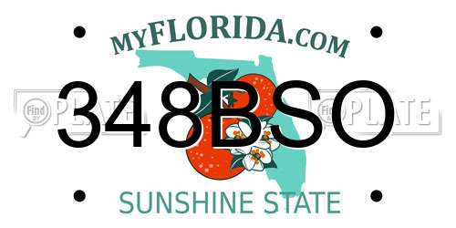 348BSO Florida License Plate