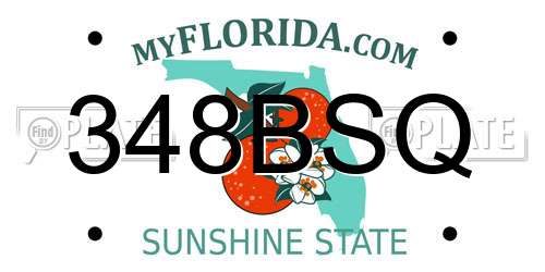 348BSQ Florida License Plate