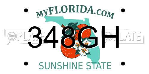348GH Florida License Plate