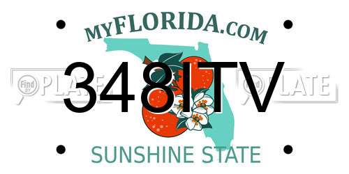 348ITV Florida License Plate