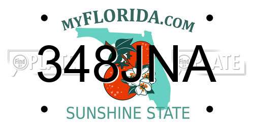 348JNA Florida License Plate