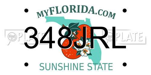 348JRL Florida License Plate