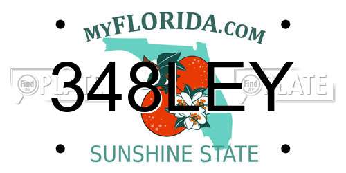 348LEY Florida License Plate