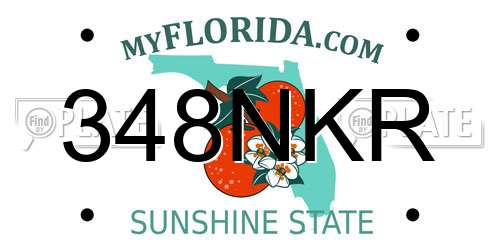 348NKR Florida License Plate