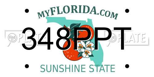 348PPT Florida License Plate