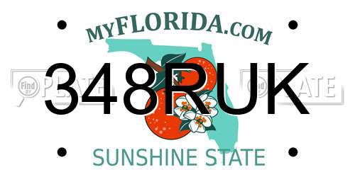 348RUK Florida License Plate
