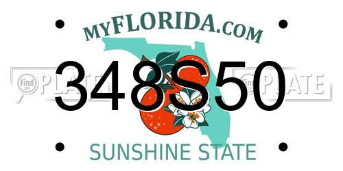 348S50 Florida License Plate
