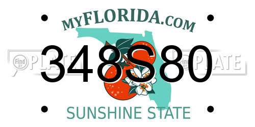 348S80 Florida License Plate
