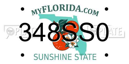 348SS0 Florida License Plate
