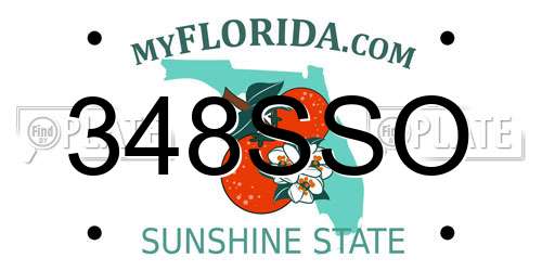 348SSO Florida License Plate