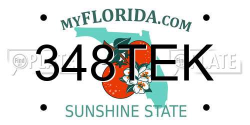 348TEK Florida License Plate