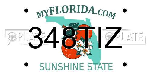 348TIZ Florida License Plate