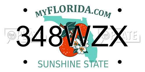 348WZX Florida License Plate