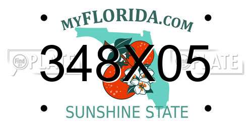 348X05 Florida License Plate