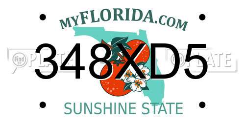 348XD5 Florida License Plate