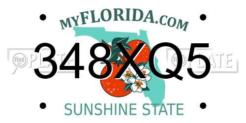 348XQ5 Florida License Plate
